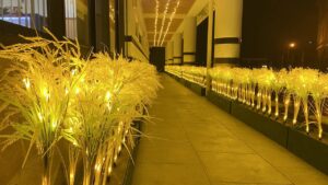 青森「田舎館村」でイルミネーション、黄金の稲穂が幻想的だ