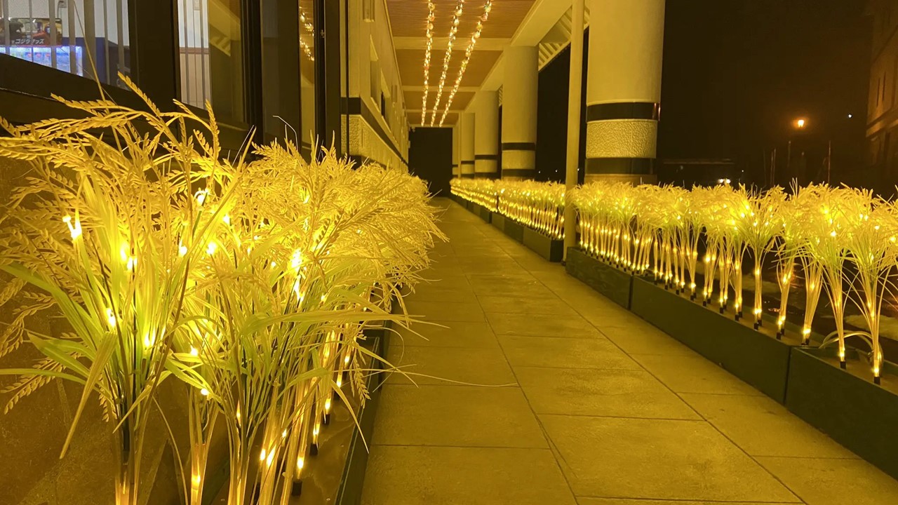 青森「田舎館村」でイルミネーション、黄金の稲穂が幻想的だ