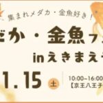 八王子「めだか・金魚フェス」えきまえテラスで開催！11月15日