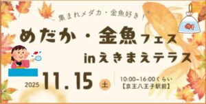八王子「めだか・金魚フェス」えきまえテラスで開催！11月15日