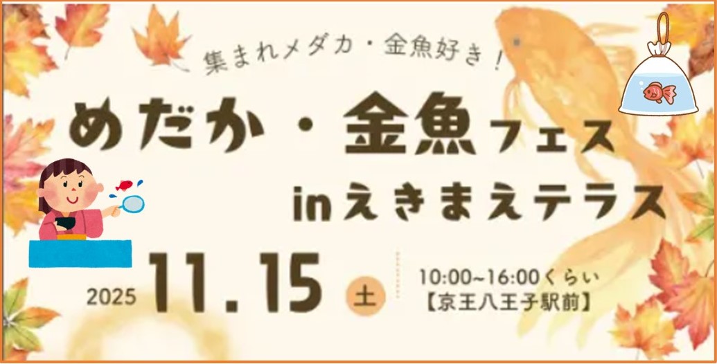 八王子「めだか・金魚フェス」えきまえテラスで開催！11月15日