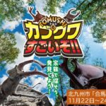 北九州・合馬竹林公園に、世界のカブトムシ＆クワガタ大集結！