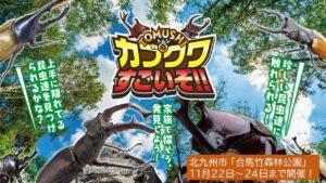 北九州・合馬竹林公園に、世界のカブトムシ＆クワガタ大集結！