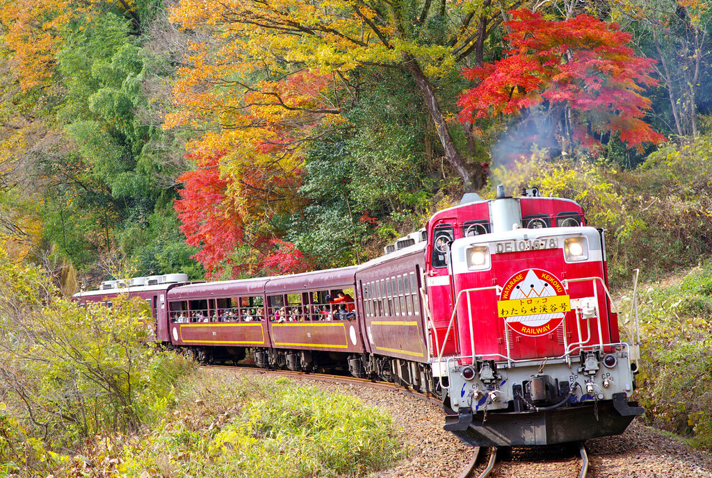 非日常の旅「トロッコわたらせ渓谷号」景色と一緒に呼吸する列車