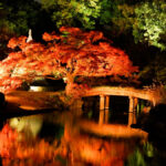 東京・文京区の六義園で、夜間特別開園＆紅葉のライトアップ！