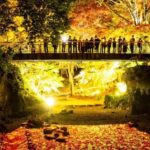 埼玉・寄居「雀宮公園」の紅葉が、幻想的にライトアップ！11/28日～