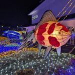 奈良・金魚とお城の街で「大和郡山イルミネーション」開催！11/28～
