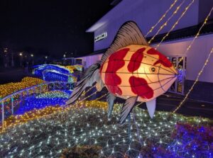 奈良・金魚とお城の街で「大和郡山イルミネーション」開催！11/28～