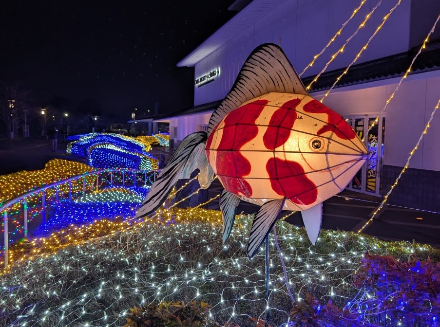 奈良・金魚とお城の街で「大和郡山イルミネーション」開催！11/28～