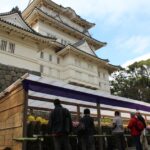 小田原城址公園で「菊花展」本丸広場に500点の菊花　11/16まで！