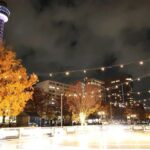 横浜山下公園で「冬の体験型パーク」スケートや公園内を走る列車も登場！