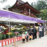 東京・文京区「文京菊まつり」湯島天満宮で開催中！11/23まで