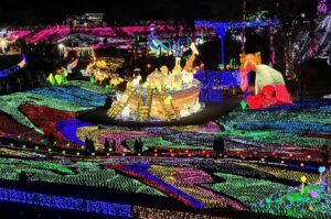 千葉・東京ドイツ村、300万球のイルミネーションと花火の共演！