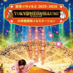 品川区・大井競馬場でイルミネーション「東京メガイルミ」開催！