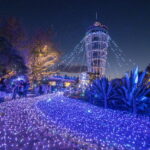 江の島が光に包まれる｢湘南の宝石｣ 今年もスタート！11/22～