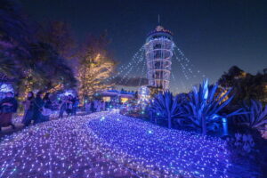 江の島が光に包まれる｢湘南の宝石｣ 今年もスタート！11/22～