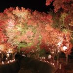 山梨県河口湖で「紅葉まつり」開催！ライトアップも！11月末まで