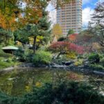 入園無料で鑑賞できる23区の日本庭園「甘泉園」で、都会を忘れる異空間へ