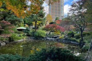 入園無料で鑑賞できる23区の日本庭園「甘泉園」で、都会を忘れる異空間へ