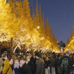 東京・神宮外苑のイチョウ並木でライトアップ開始、今月30日まで！