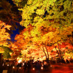 秩父「長瀞紅葉まつり」ライトアップ・竹明かりや、ランタンも！