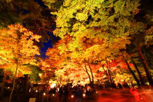 秩父「長瀞紅葉まつり」ライトアップ・竹明かりや、ランタンも！