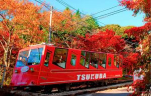 つくば市、筑波山ケーブルカーは開業100周年、紅葉も見頃です！