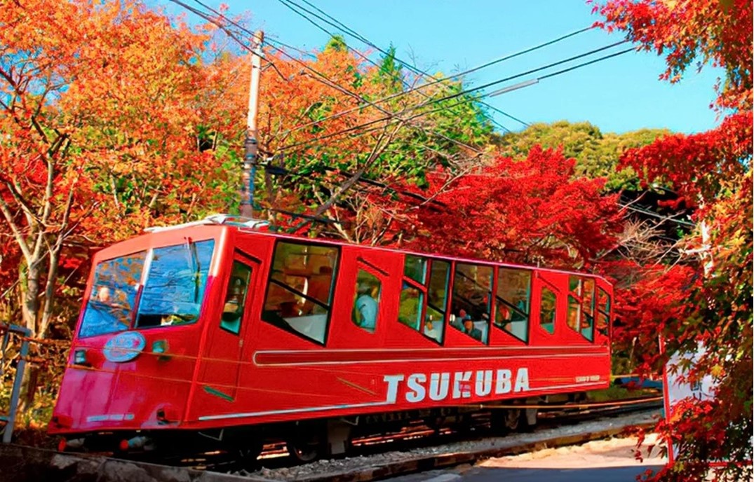 つくば市、筑波山ケーブルカーは開業100周年、紅葉も見頃です！