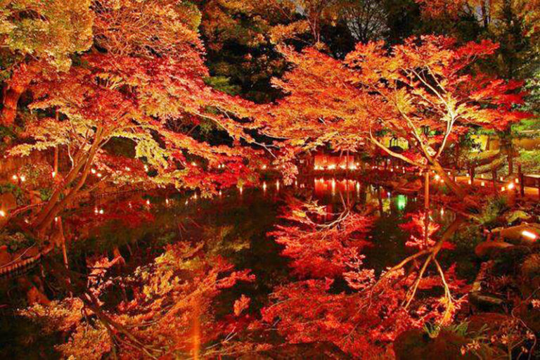 東京で入園無料の日本庭園、秋の「肥後細川庭園」が絶景すぎた！