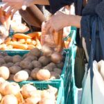 茅ヶ崎市役所前で「茅ヶ崎地区 農業まつり」11月8日開催します！