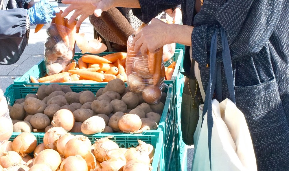 茅ヶ崎市役所前で「茅ヶ崎地区 農業まつり」11月8日開催します!