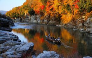 紅葉スポットの聖地　秩父鉄道沿線「長瀞紅葉まつり」開催中！