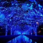 東京・渋谷「青の洞窟 SHIBUYA」青い50万球が渋谷を幻想世界へ！