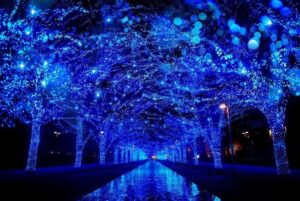 東京・渋谷「青の洞窟 SHIBUYA」青い50万球が渋谷を幻想世界へ!