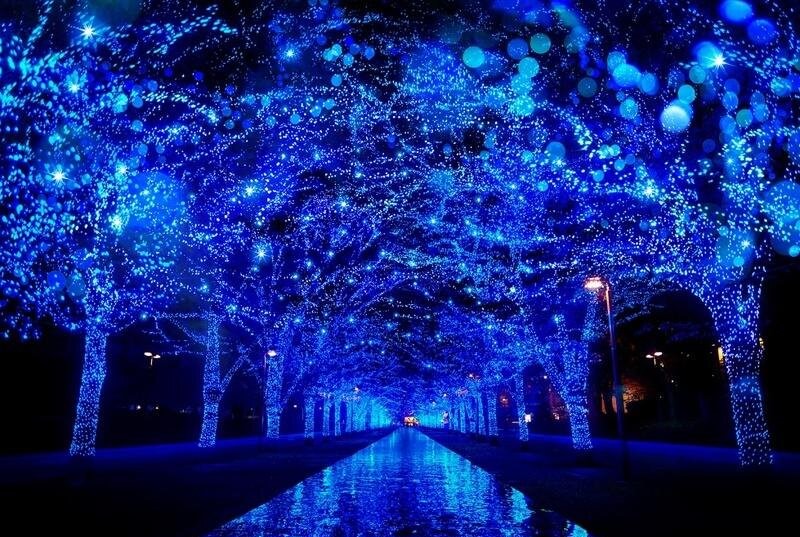 東京・渋谷「青の洞窟 SHIBUYA」青い50万球が渋谷を幻想世界へ!