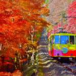 東京、紅葉の高尾山に登山客が殺到！「安近短」が最大の魅力！