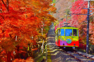 東京、紅葉の高尾山に登山客が殺到！「安近短」が最大の魅力！