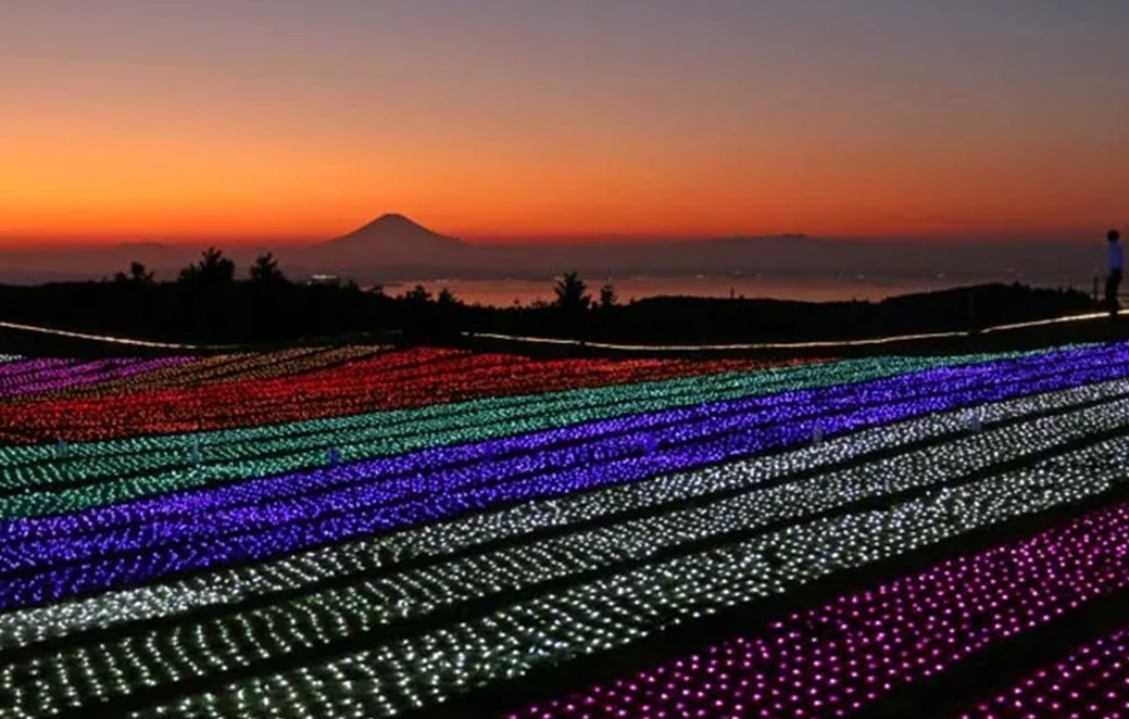 千葉・マザー牧場のイルミネーション！夕景と光の共演が異世界レベル　