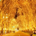 仙台の冬の風物詩「SENDAI 光のページェント」始まる！28日まで