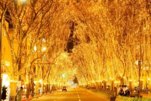 仙台の冬の風物詩「SENDAI 光のページェント」始まる!28日まで