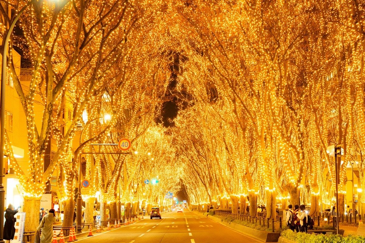 仙台の冬の風物詩「SENDAI 光のページェント」始まる!28日まで