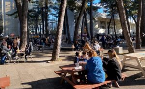 前橋・敷島公園で「キッチンカーフェス・から揚げ祭り」12/7 開催！