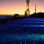 千葉の「恋する灯台」飯岡灯台で、恒例の冬のライトアップ開始！