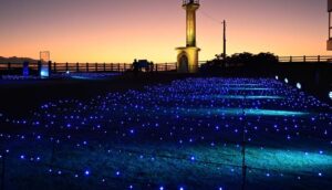 千葉の「恋する灯台」飯岡灯台で、恒例の冬のライトアップ開始！