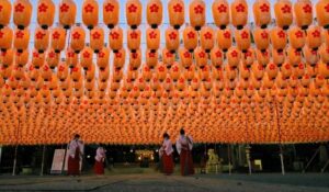 姫路護国神社で「新年万灯祭」平和を願う2千個の提灯！ 元旦から