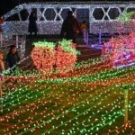 栃木「まちの駅新鹿沼宿」イルミネーション！20万球で鹿沼名物を表現