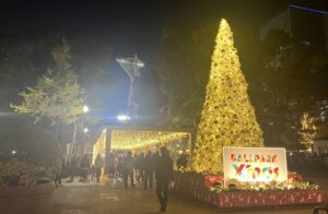 横浜公園でXmasイベント「ボールパークXmas 横浜関内」開催中！