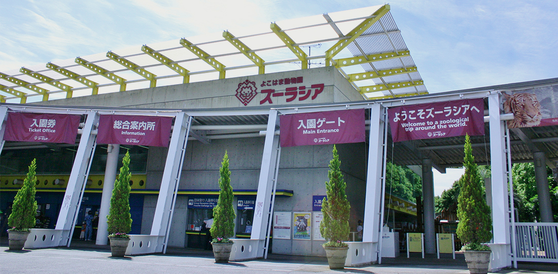 横浜ズーラシア、1月31日は無料開放！「うんちプロジェクト」の発表会も