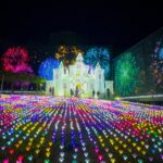 栃木「あしかがフラワーパーク」初のドローンショー開催！12/27日～