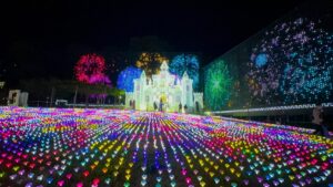 栃木「あしかがフラワーパーク」初のドローンショー開催！12/27日～